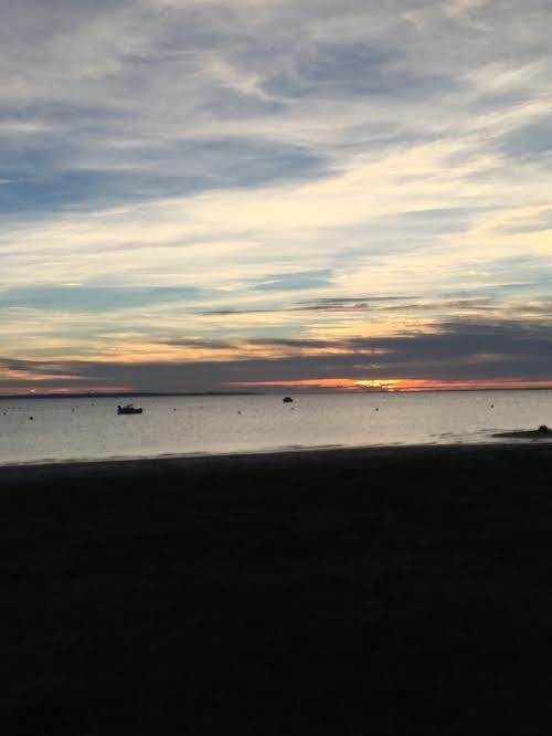 terrain à vendre  cap ferret avec vue bassin