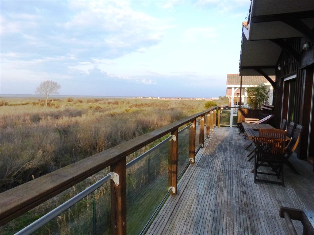 agence immobilière de prestige bassin arcachon