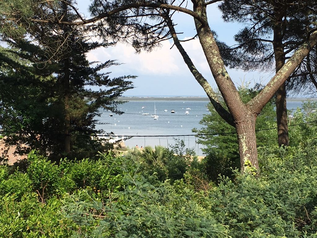 Villa proche plage cap ferret