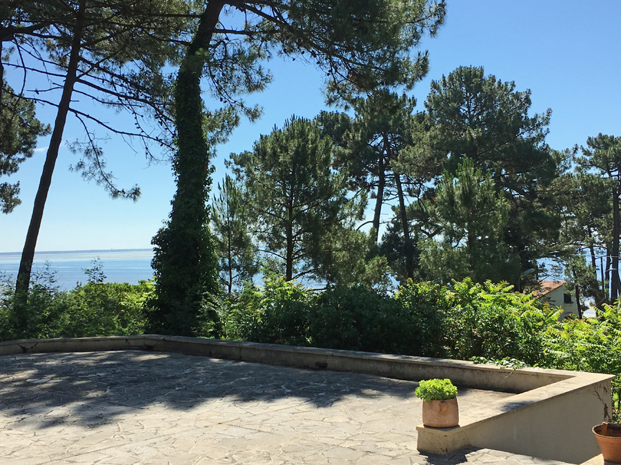 achat villa familiale à rénover bord de bassin Cap Ferret