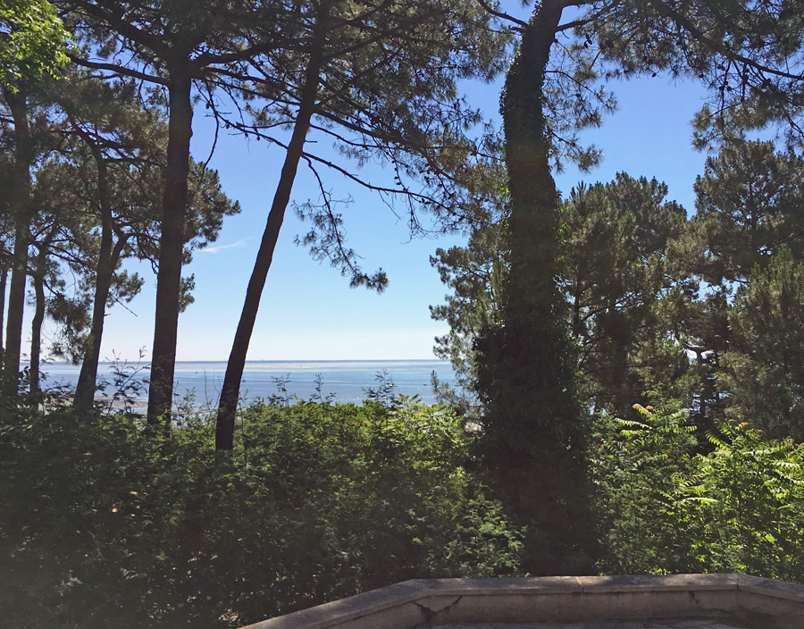 les plus villas vue bassin à la vente cap ferret