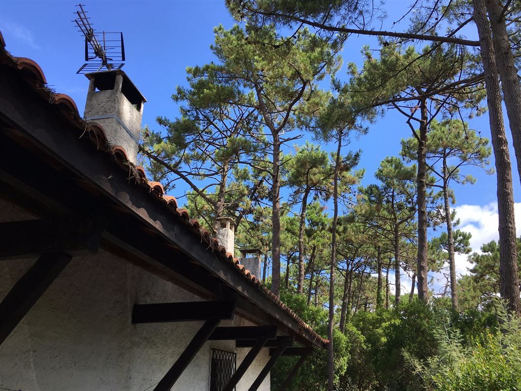 Villa landaise entre océan et bassin - Lège Cap Ferret Piraillan