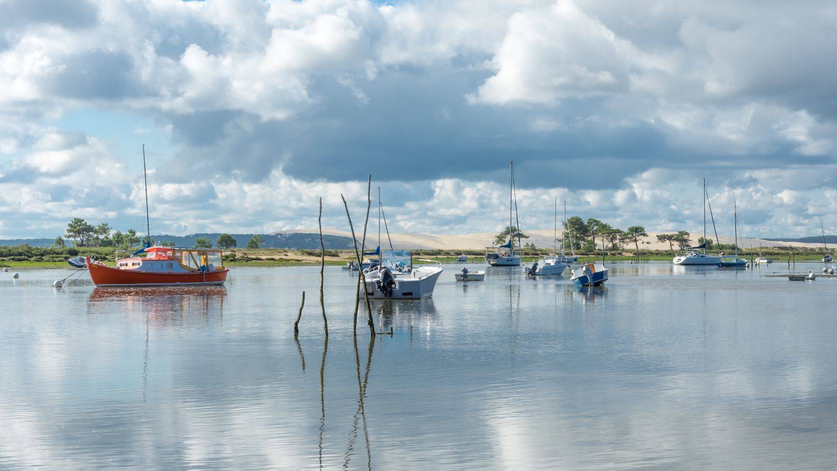 Vivre au rythme du Bassin : entre pinède, plage et tranquillité