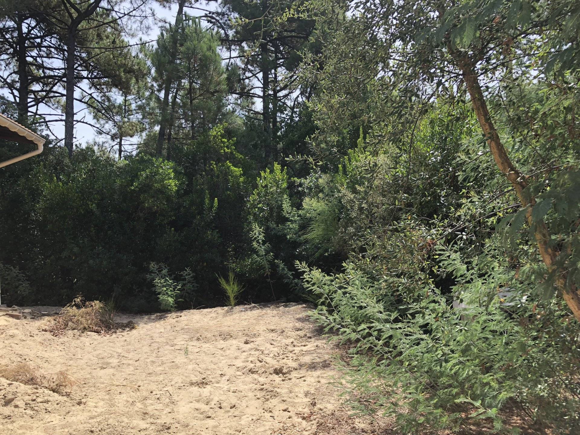 Recherche grande villa à rénover avec beau terrain LEGE CAP FERRET