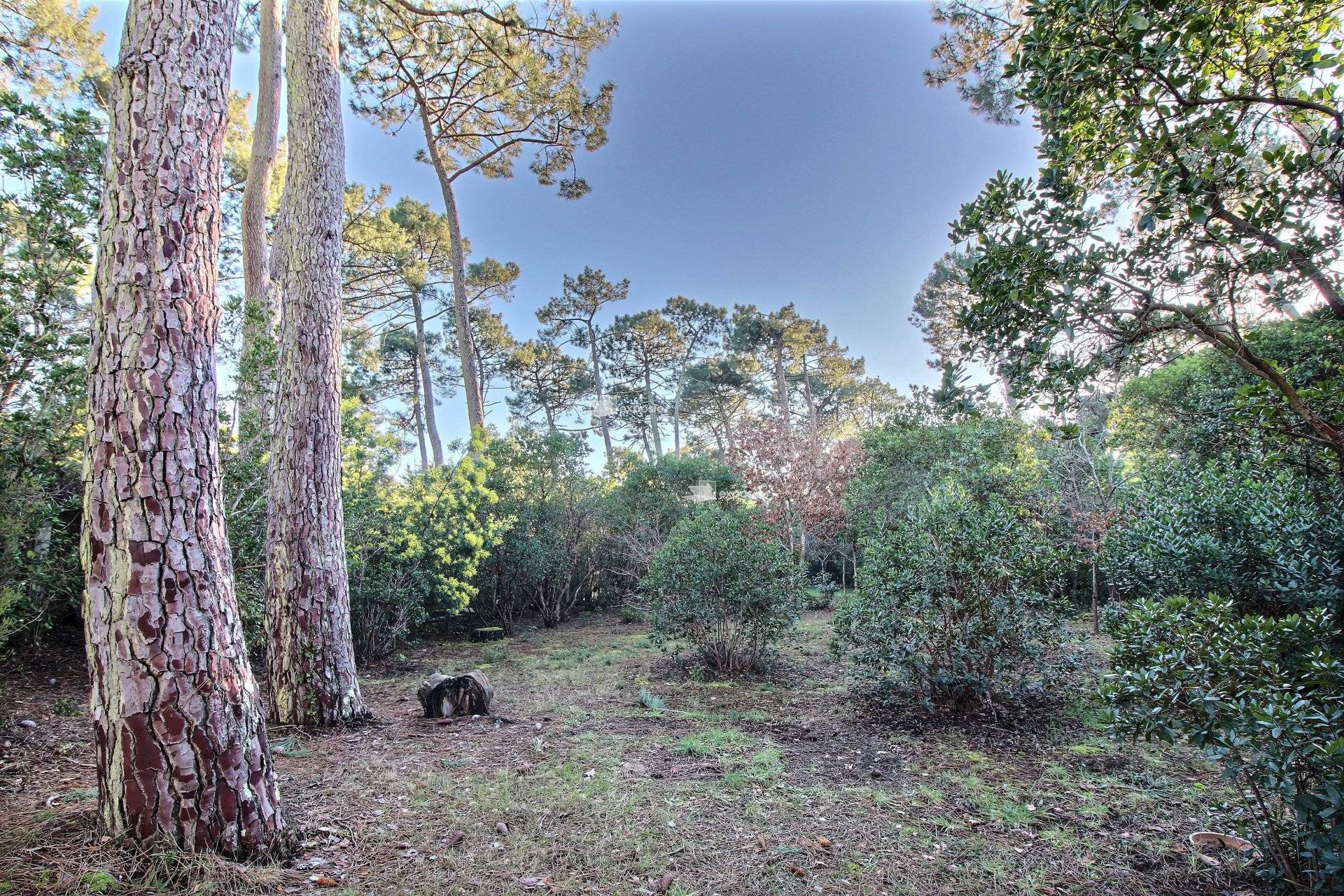 Villa de charme à vendre à 300 m de la plage ARCACHON VIEUX-PILAT