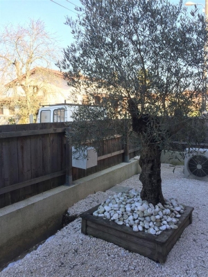 villa design 5 chambres bordeaux