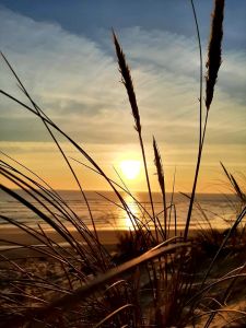 Biscarrosse plage Station balnéaire landaise proche de la dune du Pilat