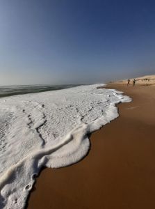 Biscarrosse plage Station balnéaire landaise proche de la dune du Pilat