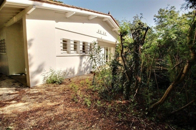 Vente villa avec studio indépendant cap ferret 44 hectares