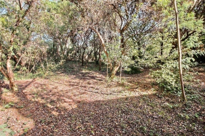 Achat villa 2 chambres possibilité agrandissement cap ferret 44 hectares