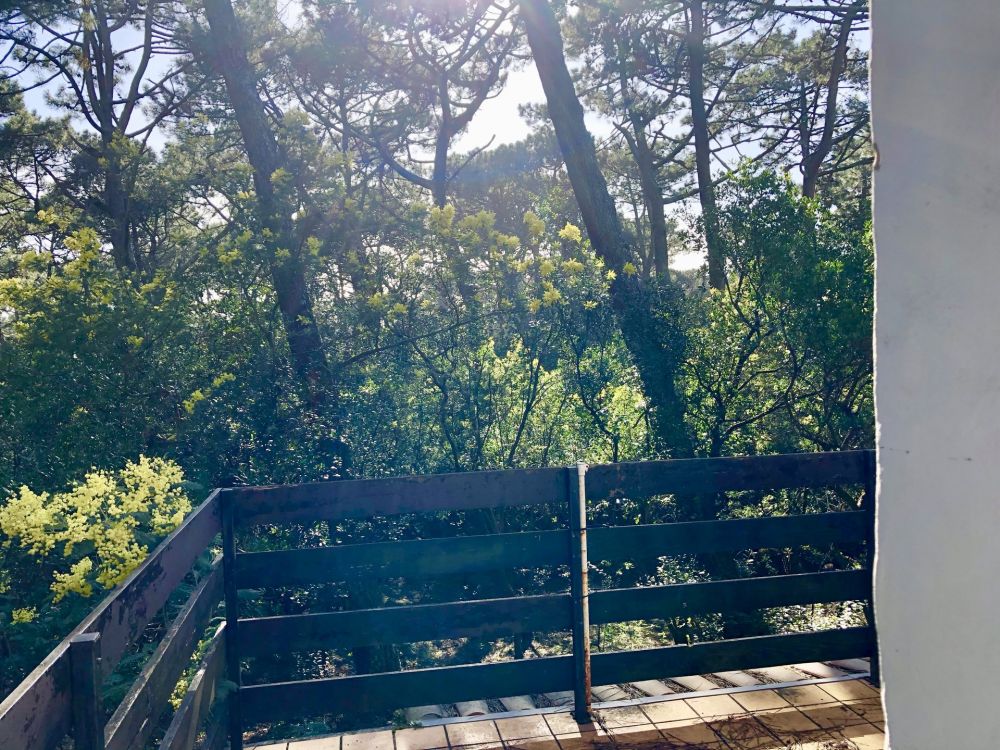 Maison des années 70 à rénover ou reconstruire proche plage CAP FERRET