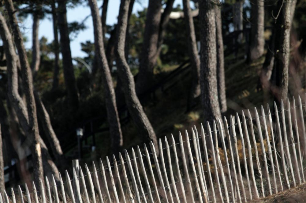 Vente terrain viabilisé constructible ARCACHON ABATILLES