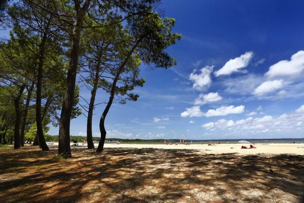Vente cabane de résiniers avec vue sur le lac idéale pied à terre au bord du lac de Biscarrosse