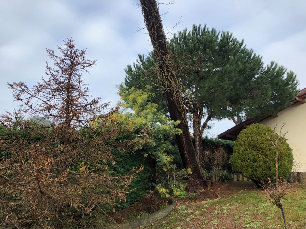 Grande villa familiale à rafraîchir à vendre CAP FERRET CENTRE