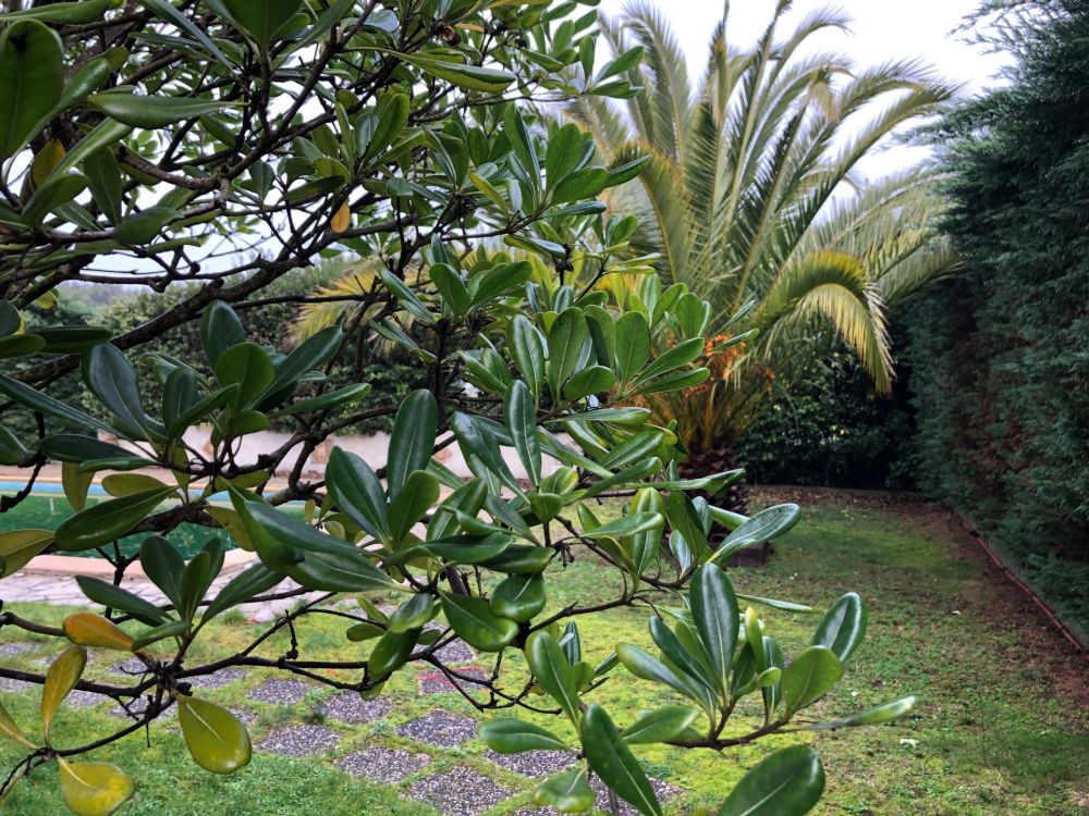 Grande villa familiale à rafraîchir à vendre CAP FERRET CENTRE