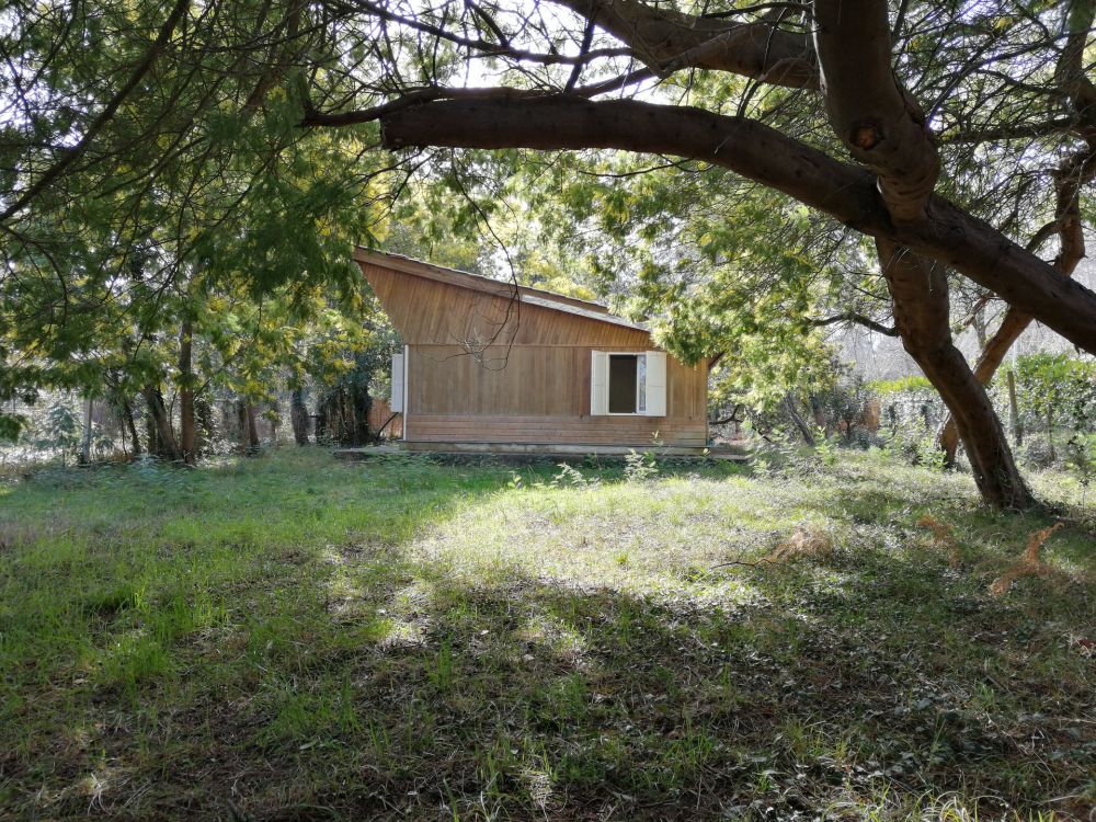 Recherche cabane idéale résidence secondaire au bord du lac de Biscarrosse