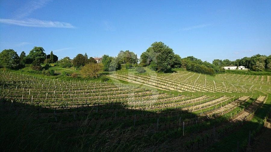 Propriété viticole de 13 hectares à vendre PROCHE LIBOURNE