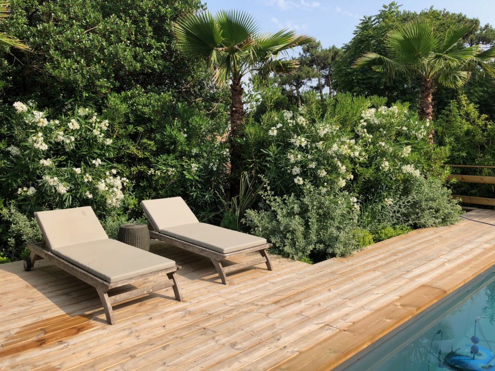 cabane ferret capienne à vendre  Cap Ferret