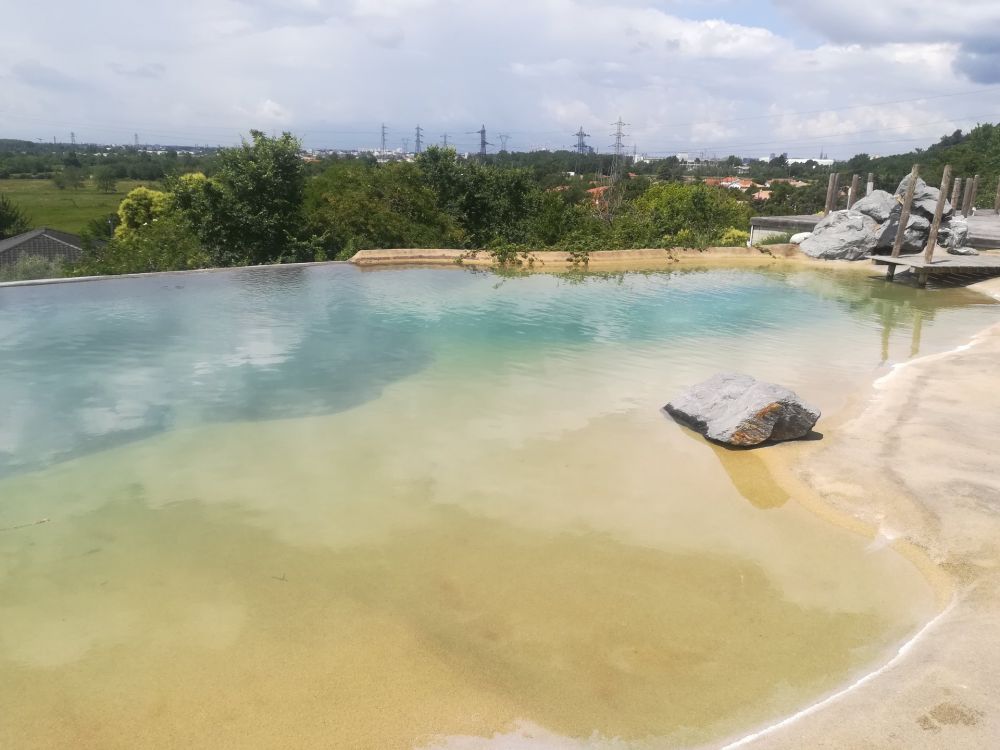 Maison d'architecte avec piscine et grand terrain à vendre proche Bordeaux BOULIAC