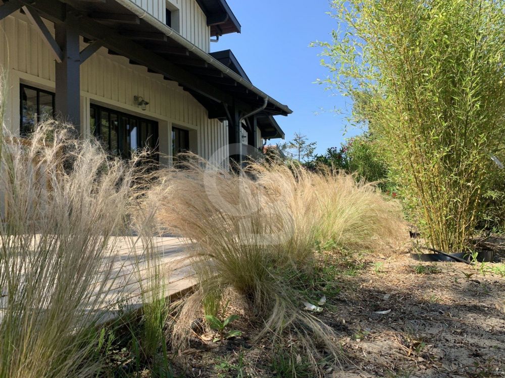 achat villas cap ferret