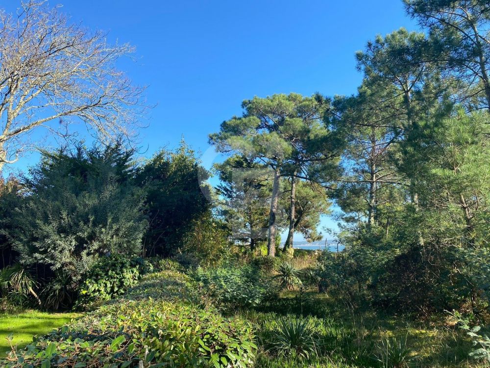 Acheter charmante villa authentique CAP FERRET 44 HECTARES