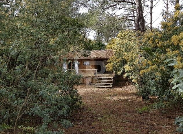 Vente charmante cabane en bois proche océan CAP FERRET