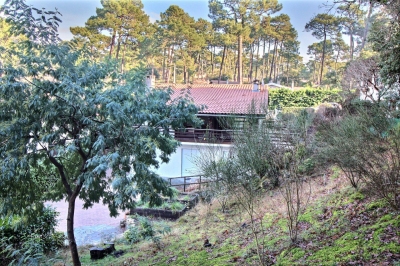 Vente maison 5 chambres grand terrain pyla sur mer