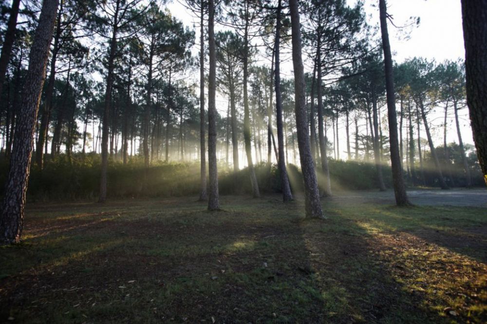 Terrain divisible à vendre hyper centre marché ANDERNOS-LES-BAINS