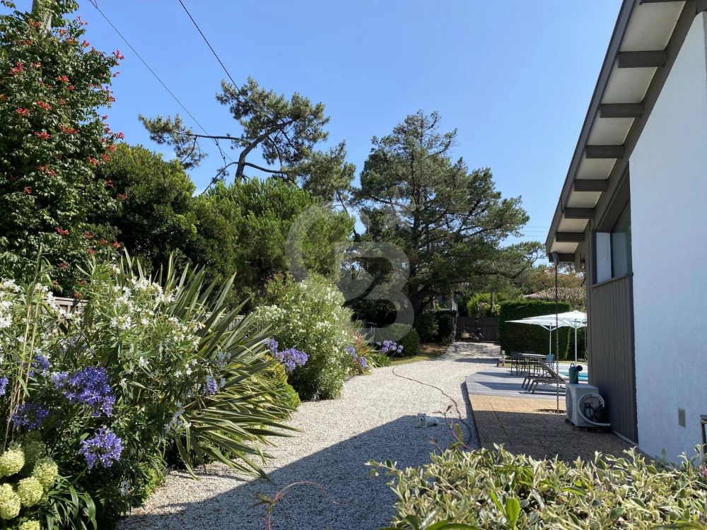 SEARCH VILLA CAP FERRET CENTER