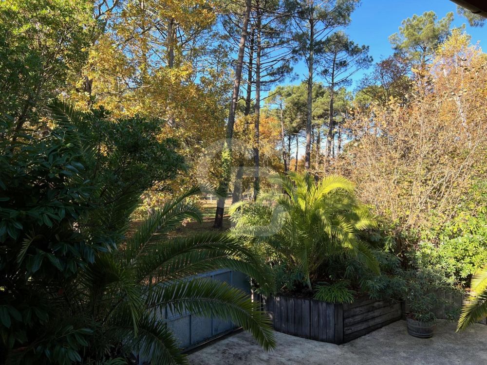 Acheter belle et grande villa avec aperçus bassin LÈGE CAP FERRET CLAOUEY