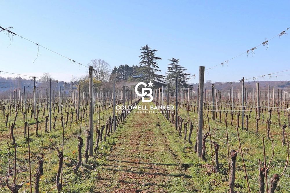 Propriété viticole bio avec 30 hectares de vignes AOC Proche Bordeaux