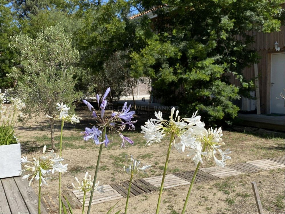 Propriété exceptionnelle avec deux villas proche plage et centre - Cap Ferret