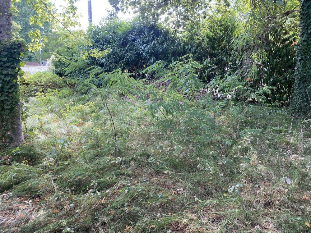 Maison avec possibilité d'extension et grand terrain - Andernos-les-Bains