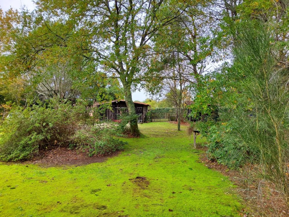 Maison de plain pied avec grand terrain dans les Landes - Parentis-en-Born