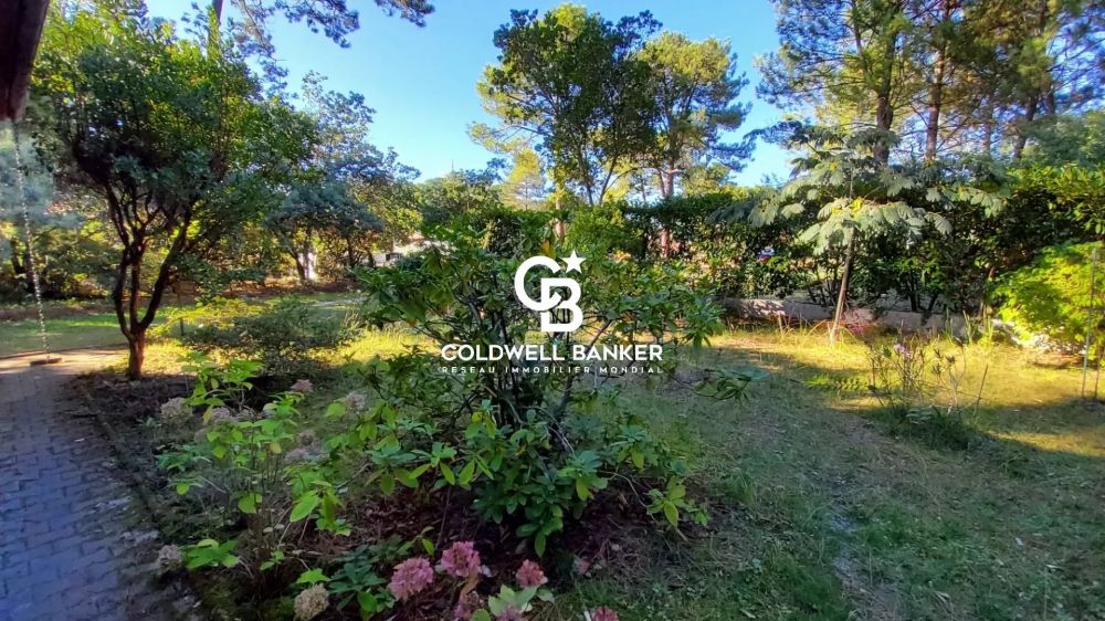 Maison individuelle avec grand terrain arboré Biscarrosse Plage
