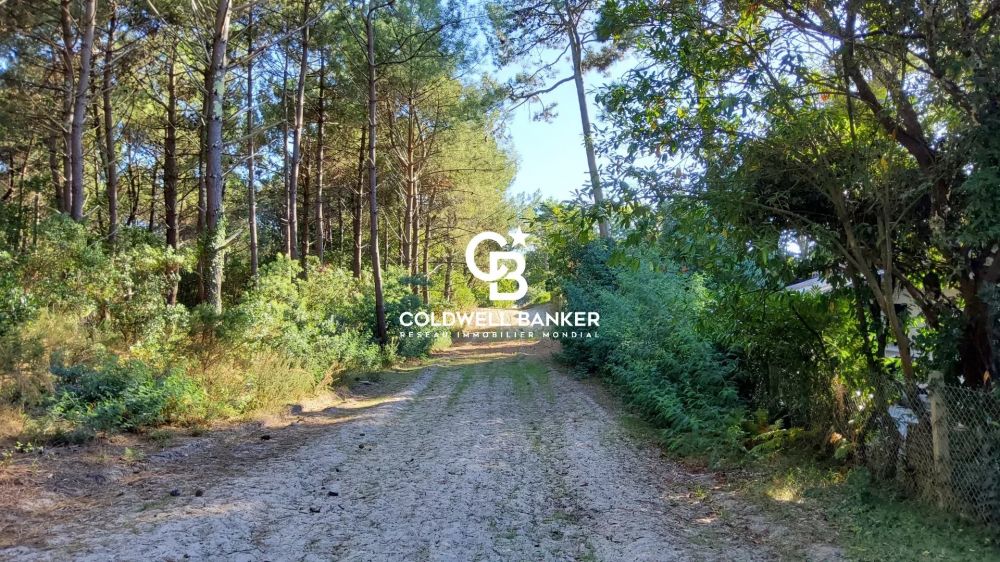 Maison individuelle avec grand terrain arboré Biscarrosse Plage