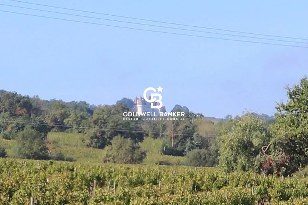Ensemble immobilier de 19 hectares avec vignoble - Proche Bergerac