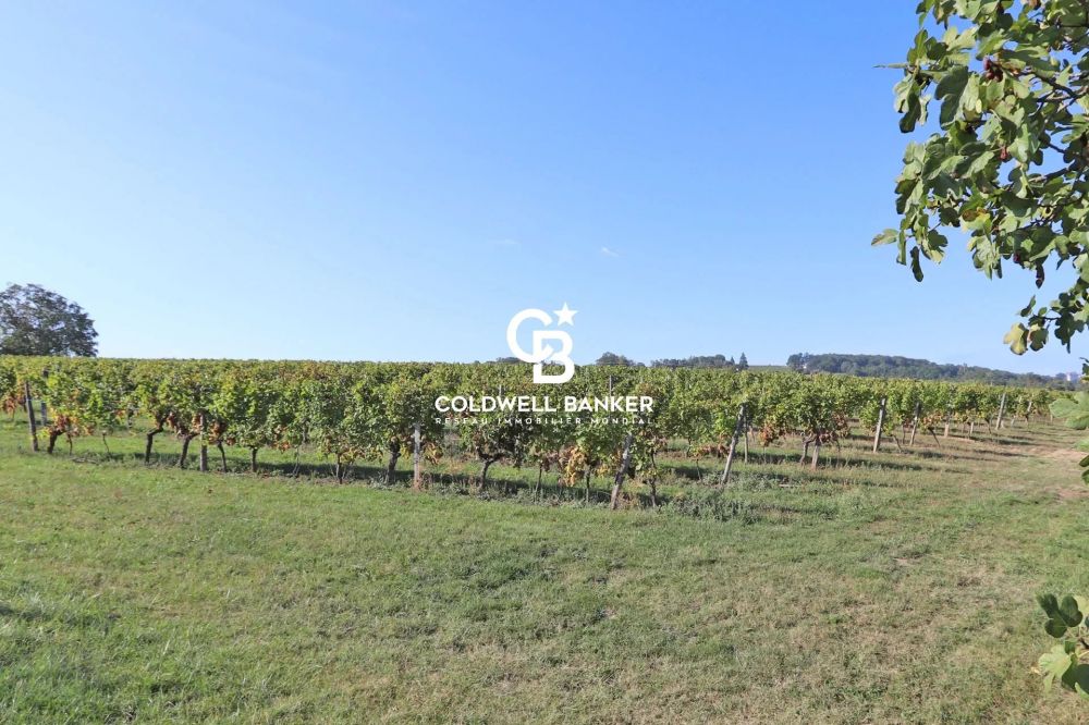 Ensemble immobilier de 19 hectares avec vignoble - Proche Bergerac