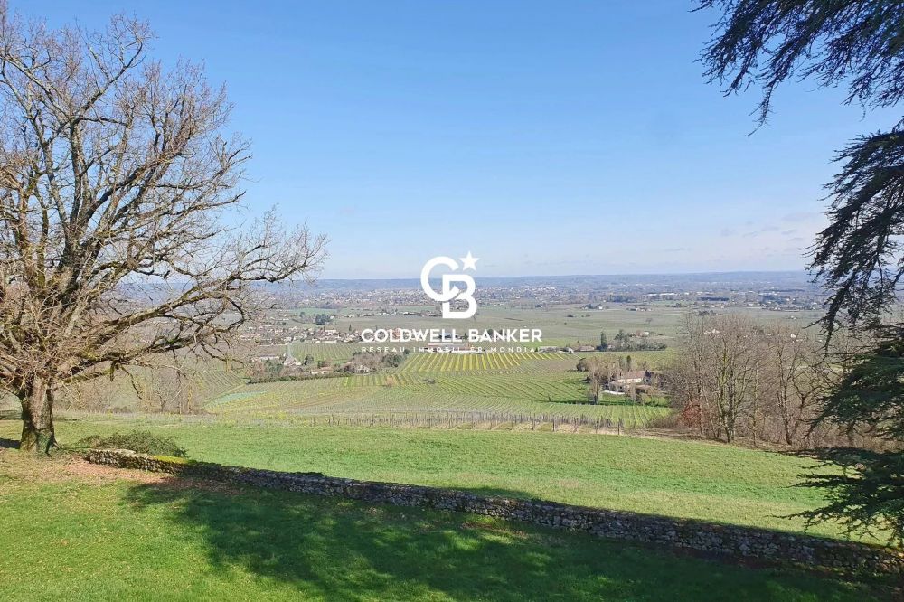Propriété viticole bio à vendre près de Bordeaux - Vignoble AOC Monbazillac et Bergerac