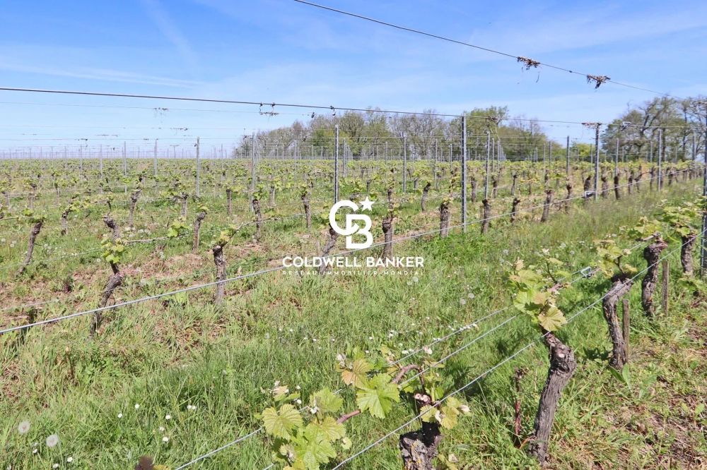 Propriété viticole bio à vendre près de Bordeaux - Vignoble AOC Monbazillac et Bergerac