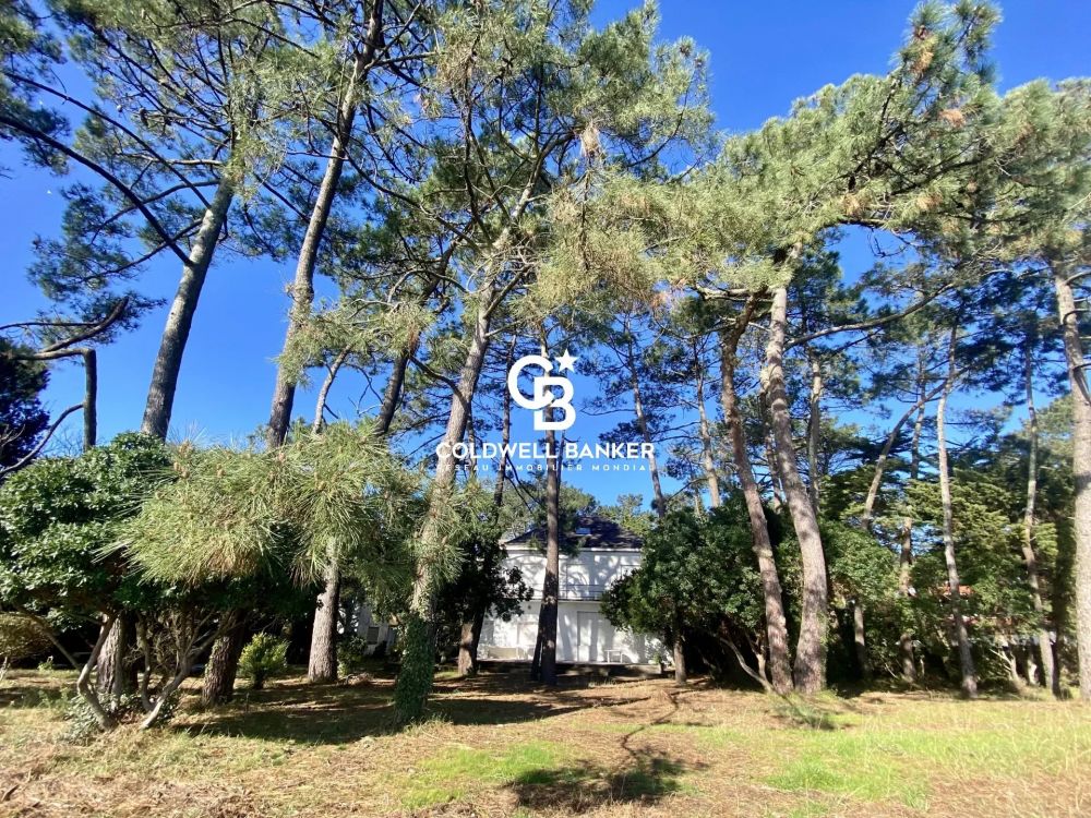 Magnifique villa en première ligne au Cap Ferret