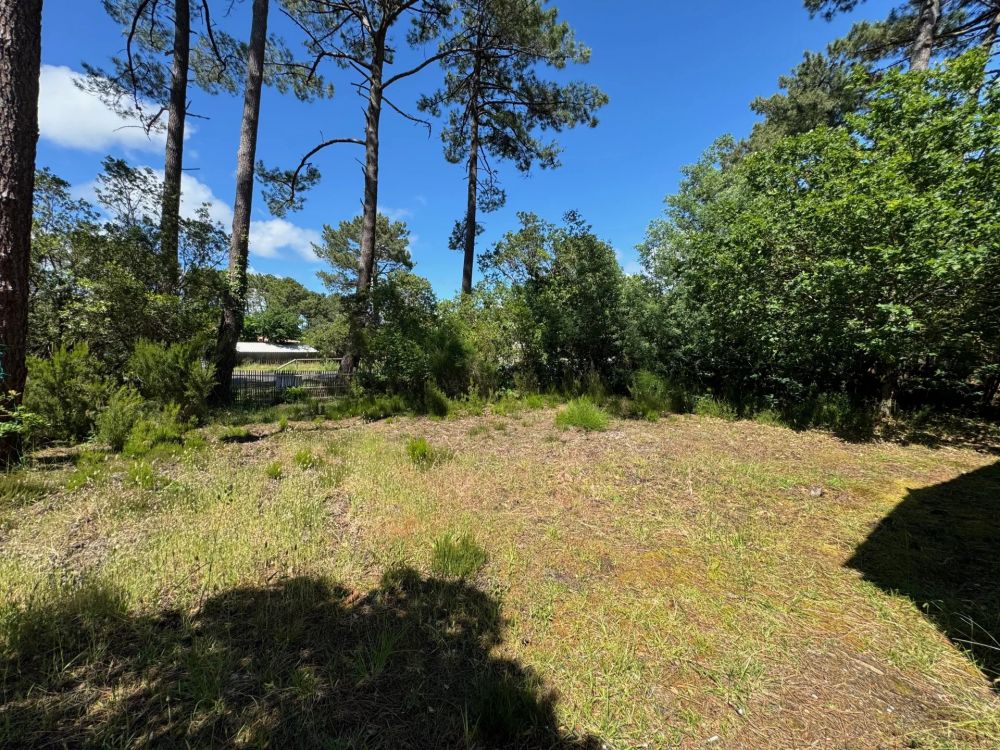 Charmante villa à rénover à Petit Piquey, Cap Ferret