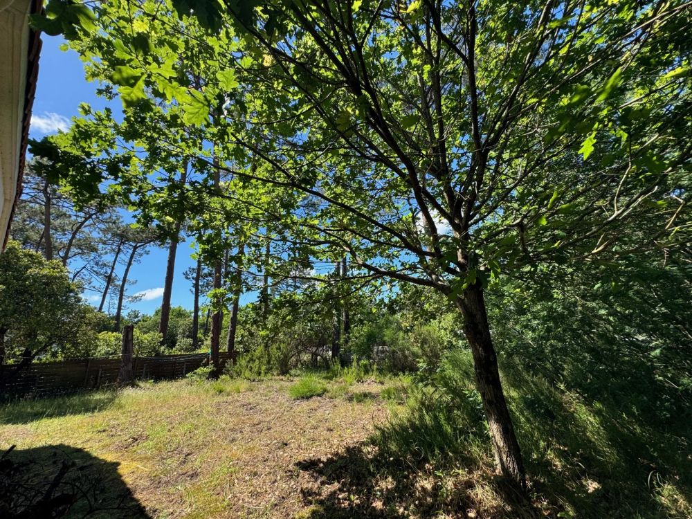 Charmante villa à rénover à Petit Piquey, Cap Ferret