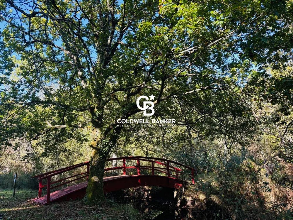 Maison à vendre à Lesparre-Médoc - landaise de 464 m² avec 10 chambres, parc arboré et étang