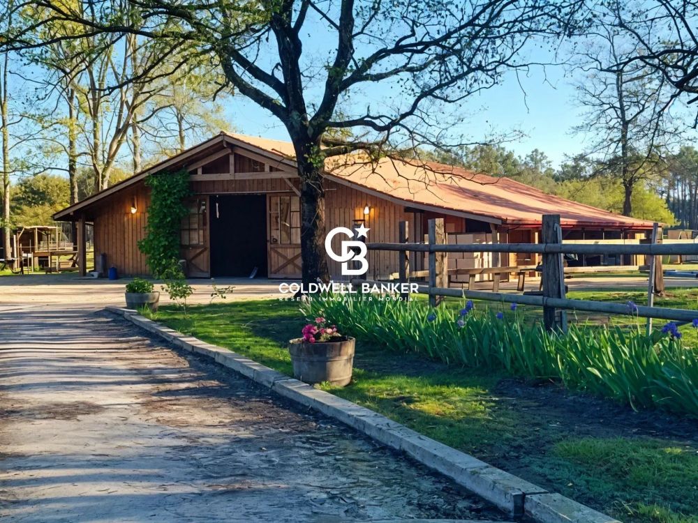 Maison à vendre à Lacanau – propriété équestre avec villa 170 m², écuries et 7 hectares