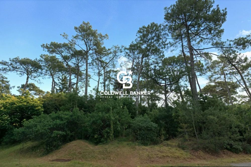 Terrain à vendre Lège-Cap-Ferret – petit Piquey, 1088 m², proche plage et commerces