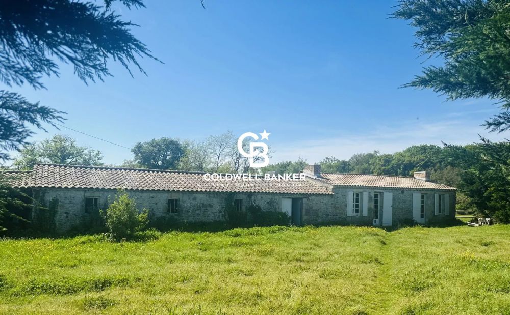 Propriété à vendre Saint-Vivien-de-Médoc - domaine 19 hectares, maison de maître, dépendances
