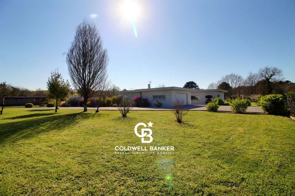 Maison à vendre Gradignan – villa contemporaine, piscine, jardin paysager, prestations haut de gamme