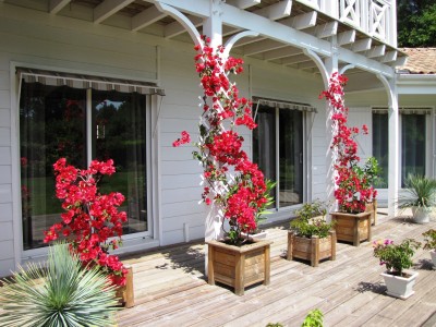 villa bassin d'arcachon avec piscine