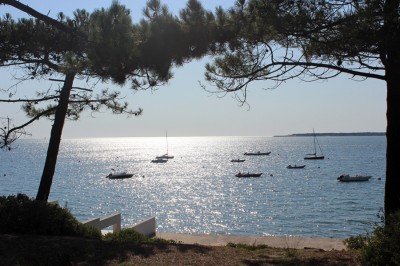 recherche villa de prestige familiale 1ère ligne à la vente Pyla sur Mer